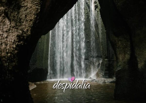 Canyoning pour enterrements de vie de garçon