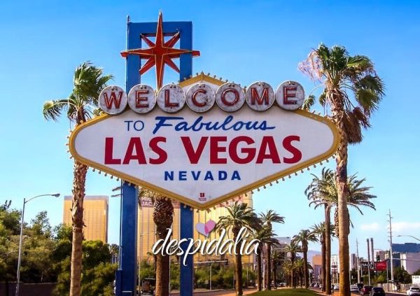 Idées pour un enterrement de vie de garçon à Las Vegas