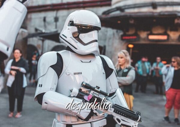 enterrement de vie de garçon à thème