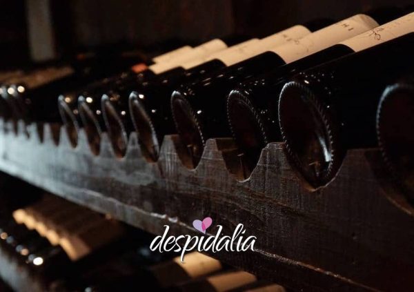 L’oenotouristee, une activité différente pour les enterrements de vie de garçon