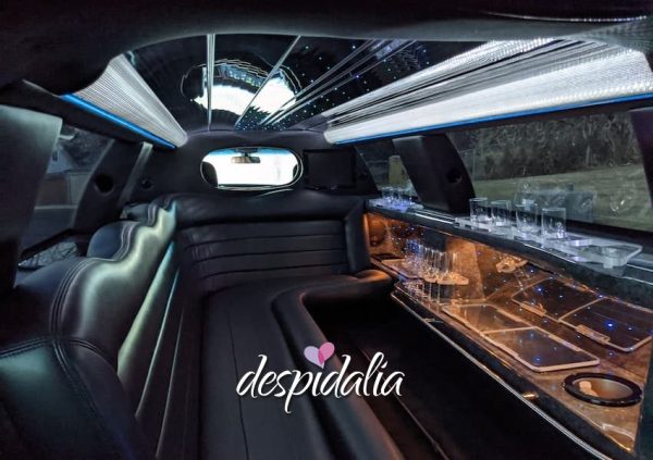 Prise en charge à l'aéroport avec une limousine