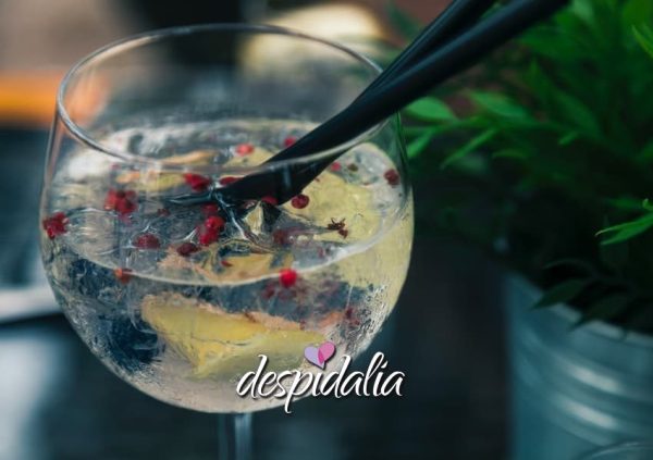 top 5 des gin tonics