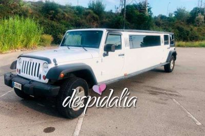 Tour limousine à Barcelone