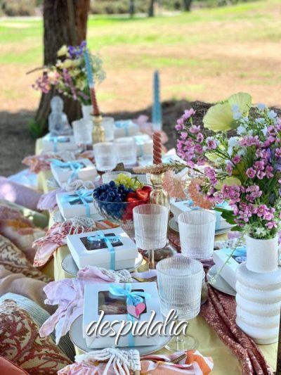 Pique-nique pour EVJF à Barcelone