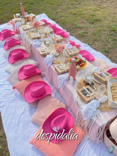 Pique-nique pour EVJF à Sitges